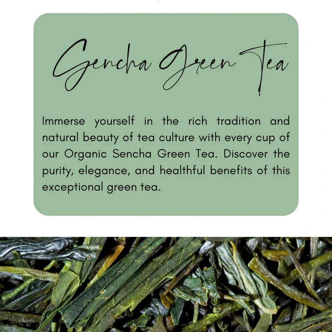 Organic Green Tea in Australia