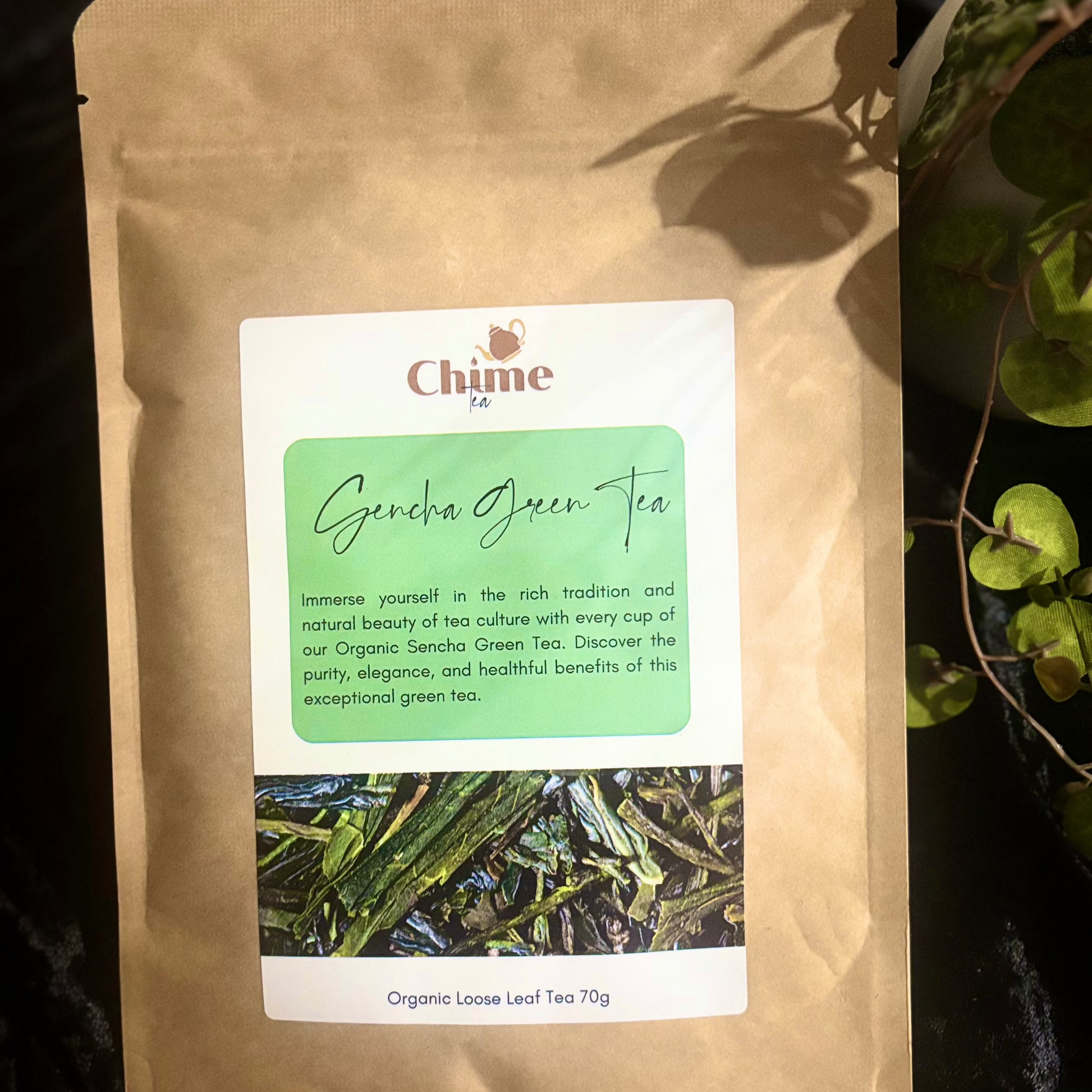 Buy Organic Green Tea in Australia